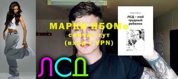 стаф Липки