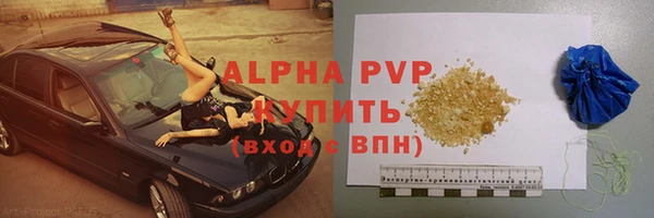 стаф Липки