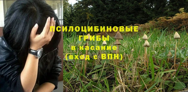 бошки Лихославль