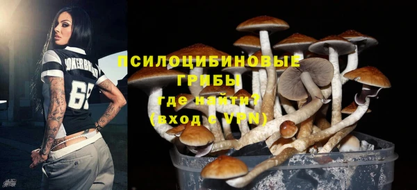 стаф Липки