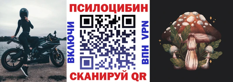 Псилоцибиновые грибы Magic Shrooms Сердобск